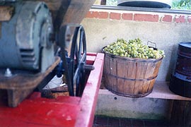[photo, Grapes in basket and grapepress, Dunkirk, Calvert County, Maryland]
