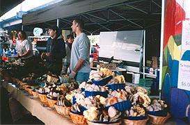 [photo, Mushrooms at Baltimore Farmers' Market, Holliday St. and Saratoga St., Baltimore, Maryland]
