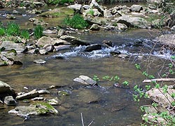 [photo, Long Green Creek, Glen Arm, Baltimore County, Maryland]